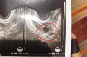 为何中邦？运载千秋丨扬州三湾古运河畔，博物馆寻求大运河前生此生